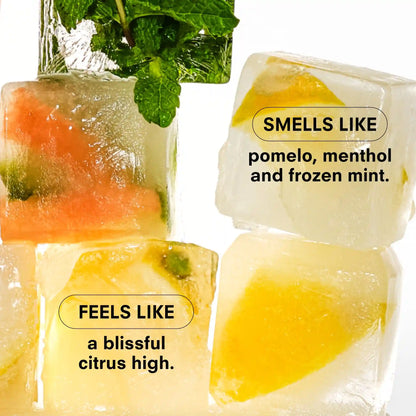 CITRUSH SNIFFER (3-PACK)